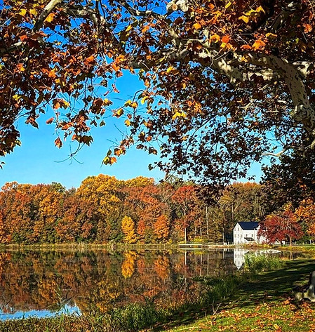 lake in fall.jpg