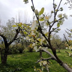 GH010378_1557563864346_high-01.jpeg