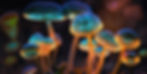 Place at the bottom of the Page-min_edited_edited_edited.jpg