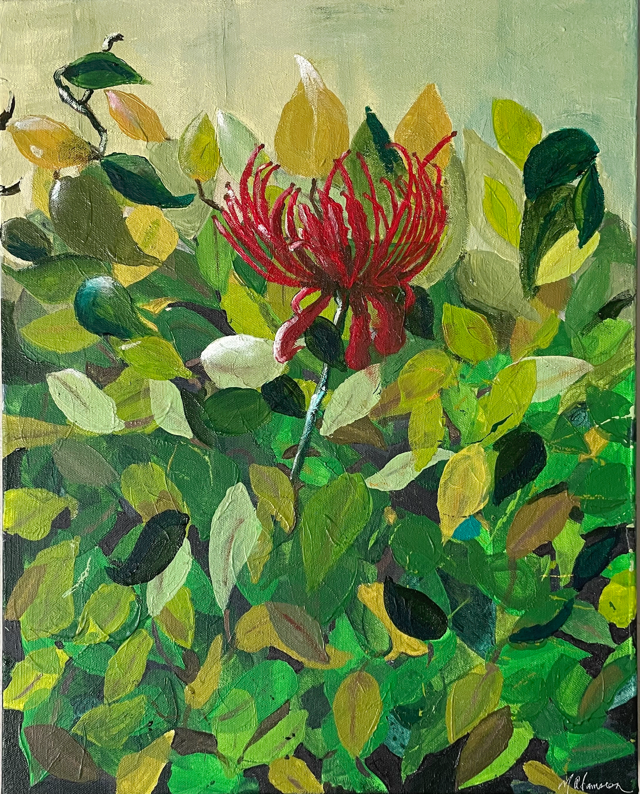 Garden (Spider) Lily - original acrylic painting | Madonna Adamson Art