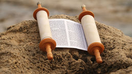 What Are Torah Bites?