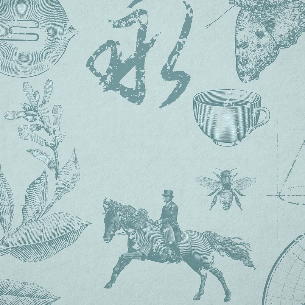 課本的 尺寸 變大了