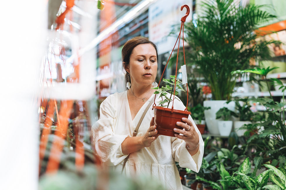 orchid plant delivery