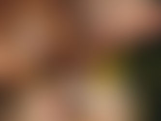 Flower Delivery Lexington KY – Fresh Flowers, Same-Day Smiles, Trusted Local Service