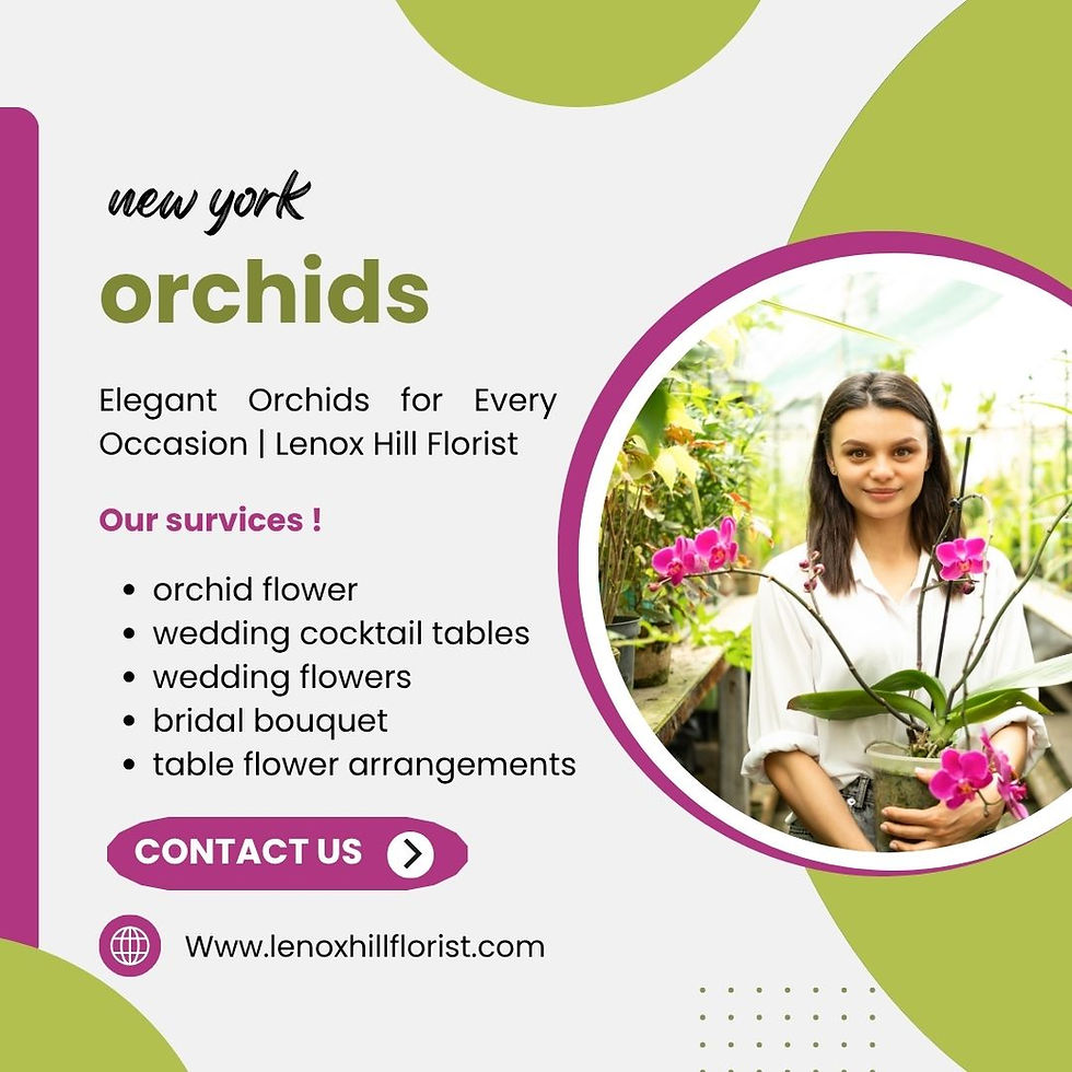 Orchids New York