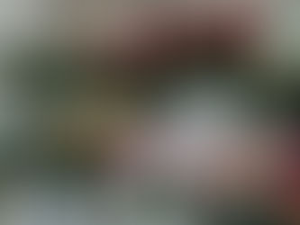 Fresh Flowers near Me: Your Guide to Finding the Best Blooms Locally