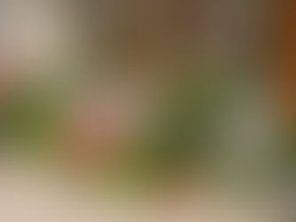 Discover the Best Flower Shop in New York: Fresh Blooms for Every Occasion