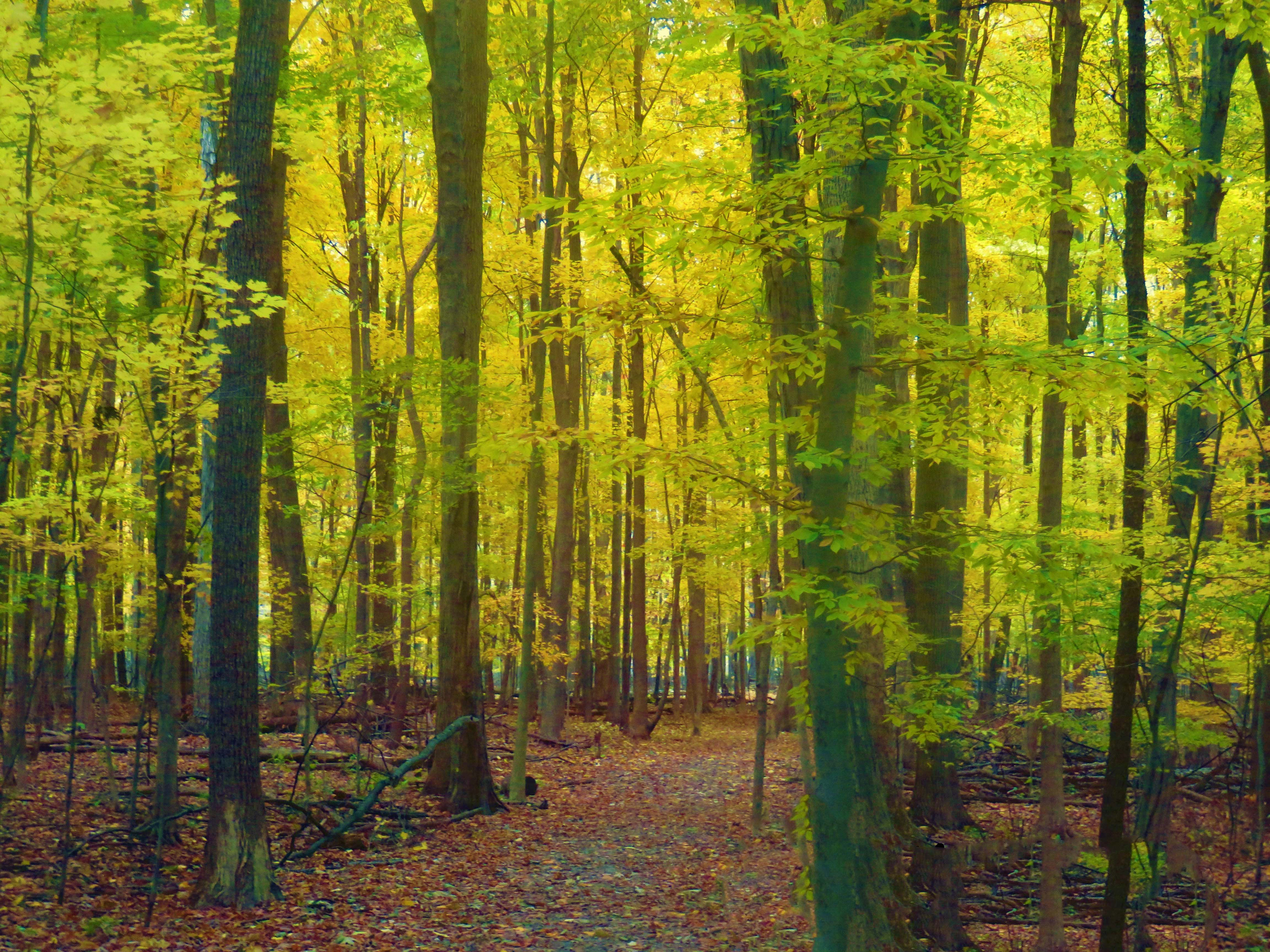 Where Summer Lingers