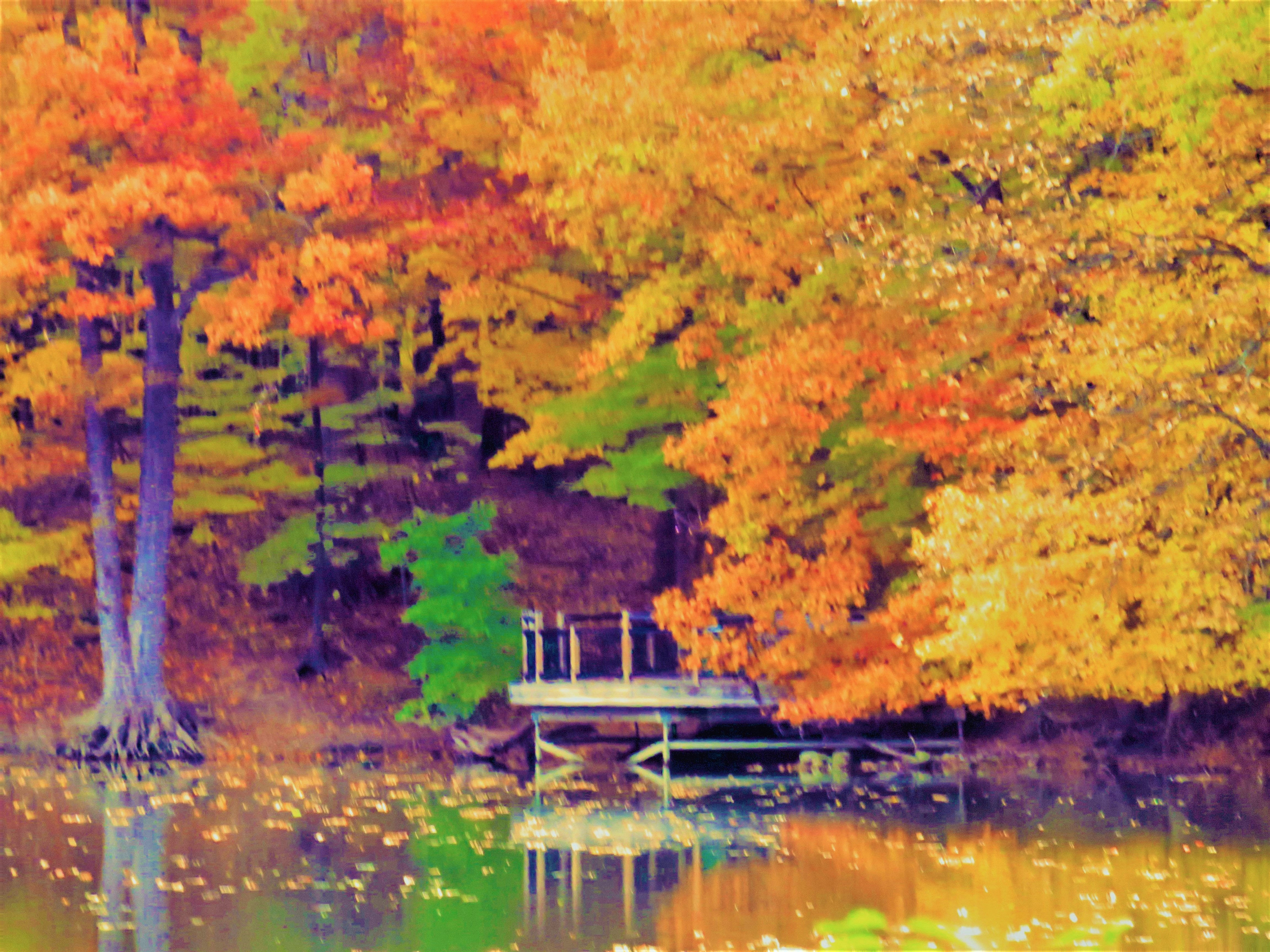 Hidden Dock in Autumn