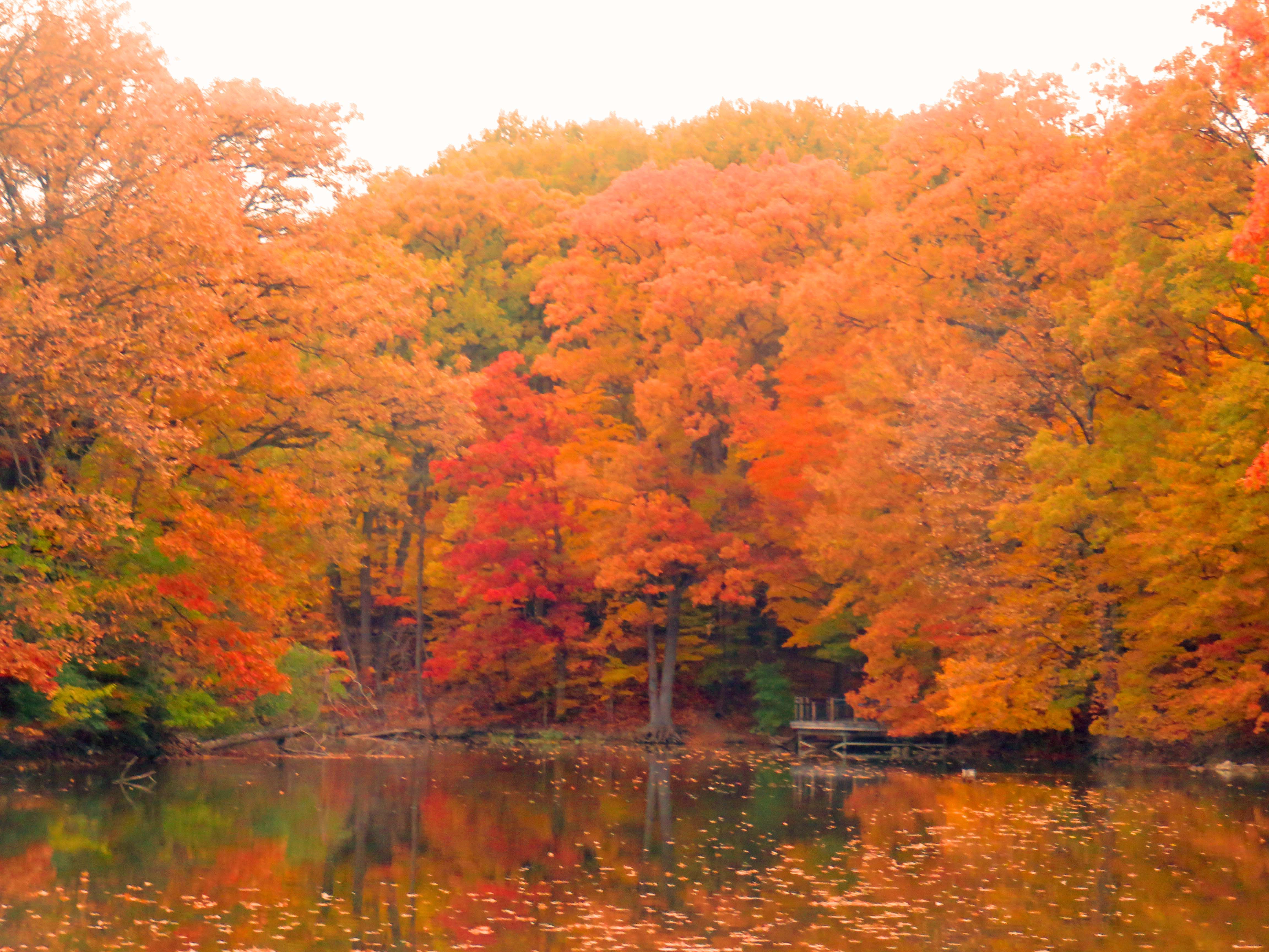 Crimson Shoreline