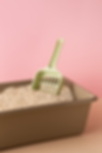 top-view-pet-accessories.png