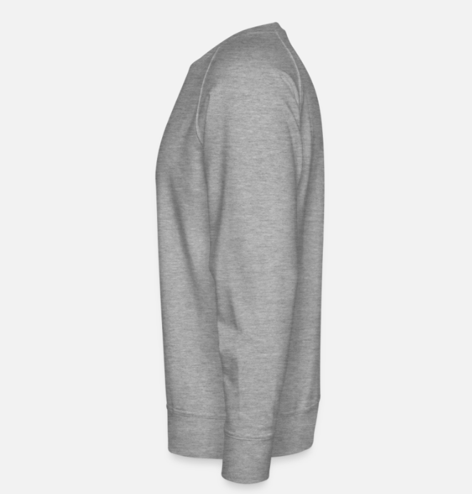 Thumbnail: Astrology (hoodie) gray melange