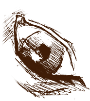 Escanear 18.png