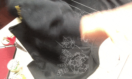 IMG_2599.gif