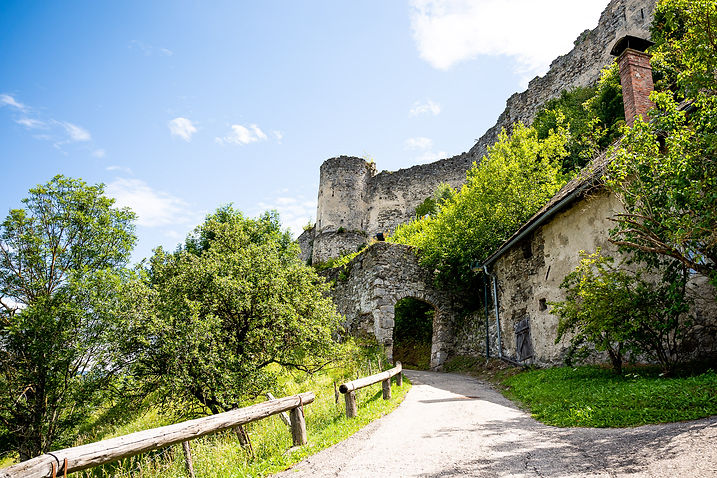 Aufgang zur Burg Petersberg im Sommer, Burgtor und Turm