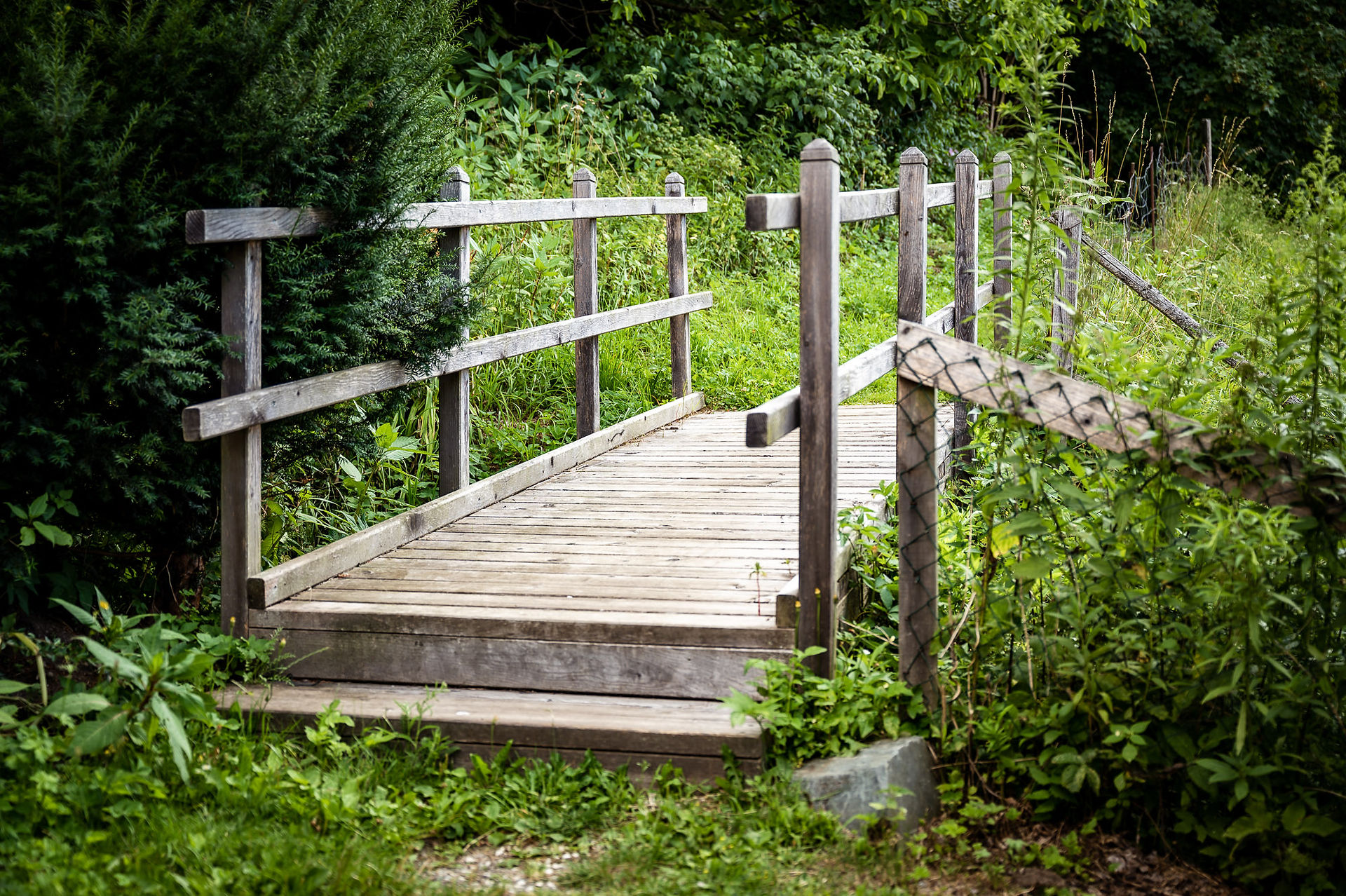 Holzbrücke im Wald