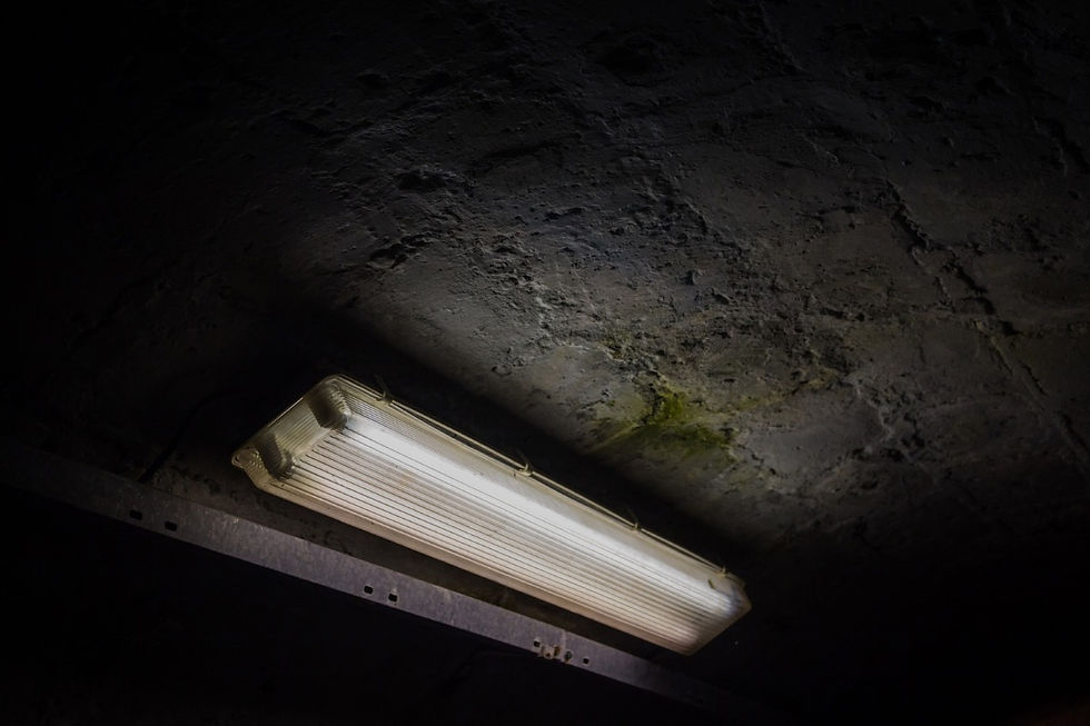 Kühles Neonlicht beleuchtet die feuchte Betondecke und schafft eine beklemmende Atmosphäre. (Foto: Tomáš Novák / Pixabay)