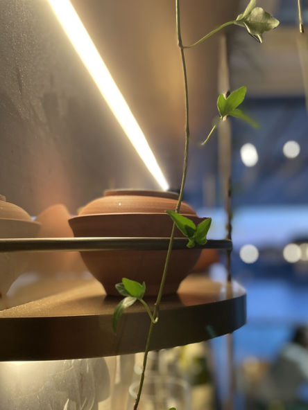 Bespoke ash-glazed lidded bowl for Brasserie Constance