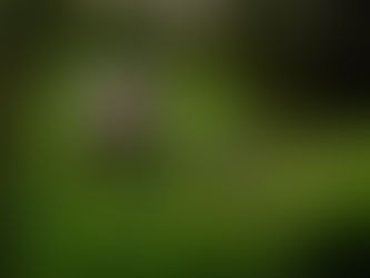 How to create craft chocolate that stands out