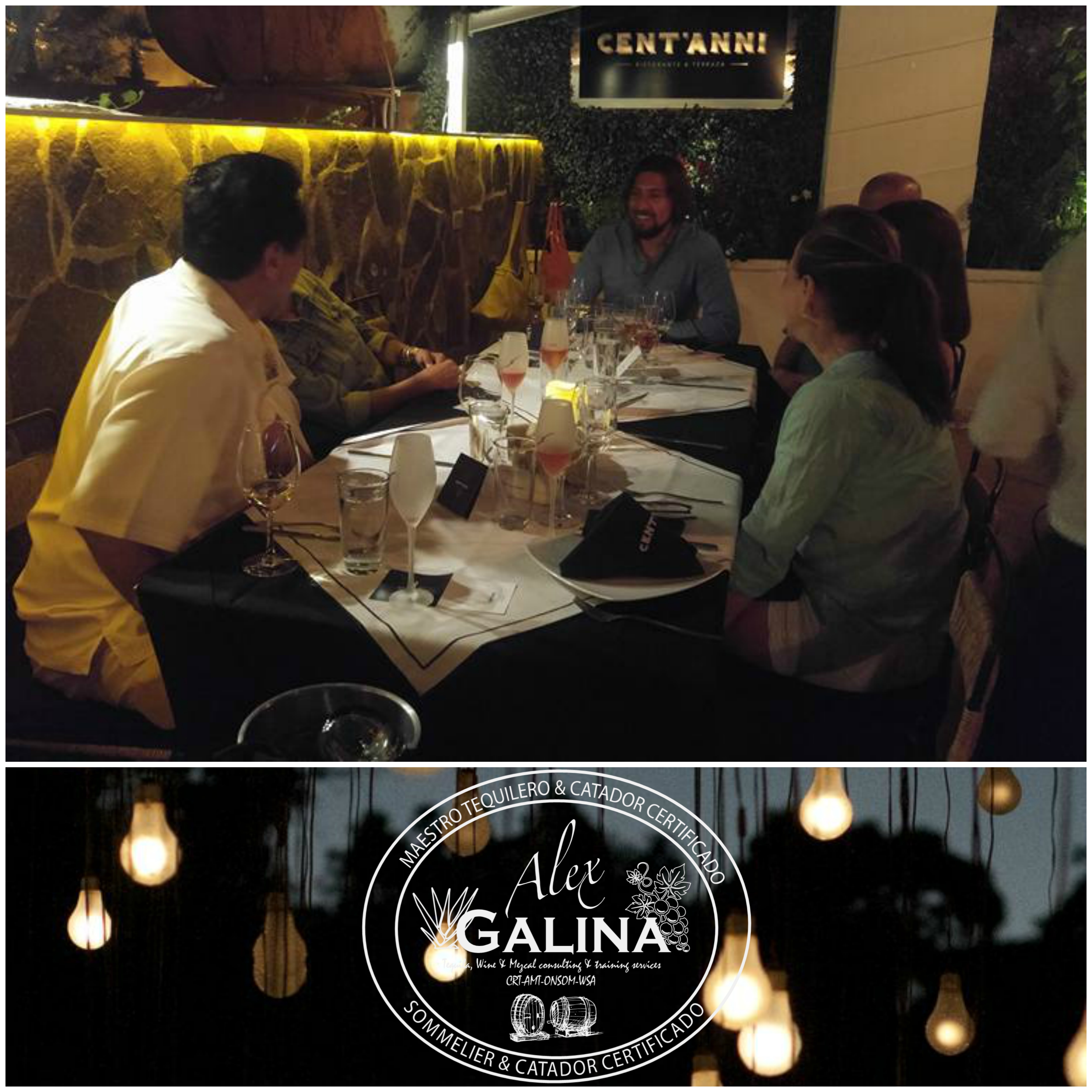 Tasting Room San Miguel de Allende