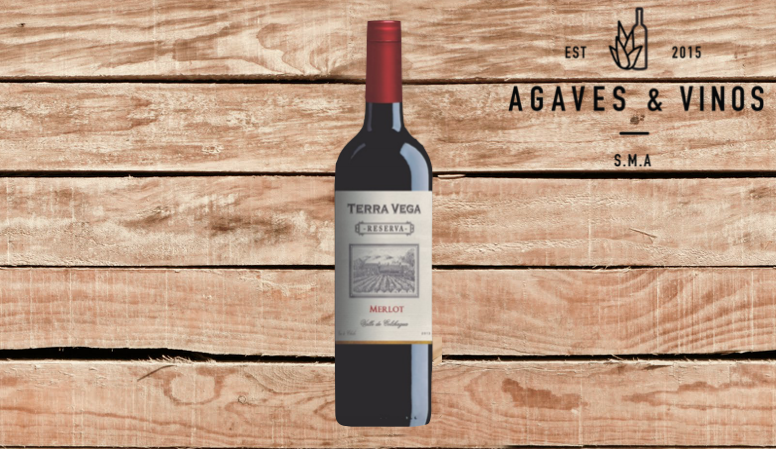 TERRA VEGA RESERVA MERLOT