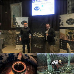 Cata de vinos San Miguel de Allende