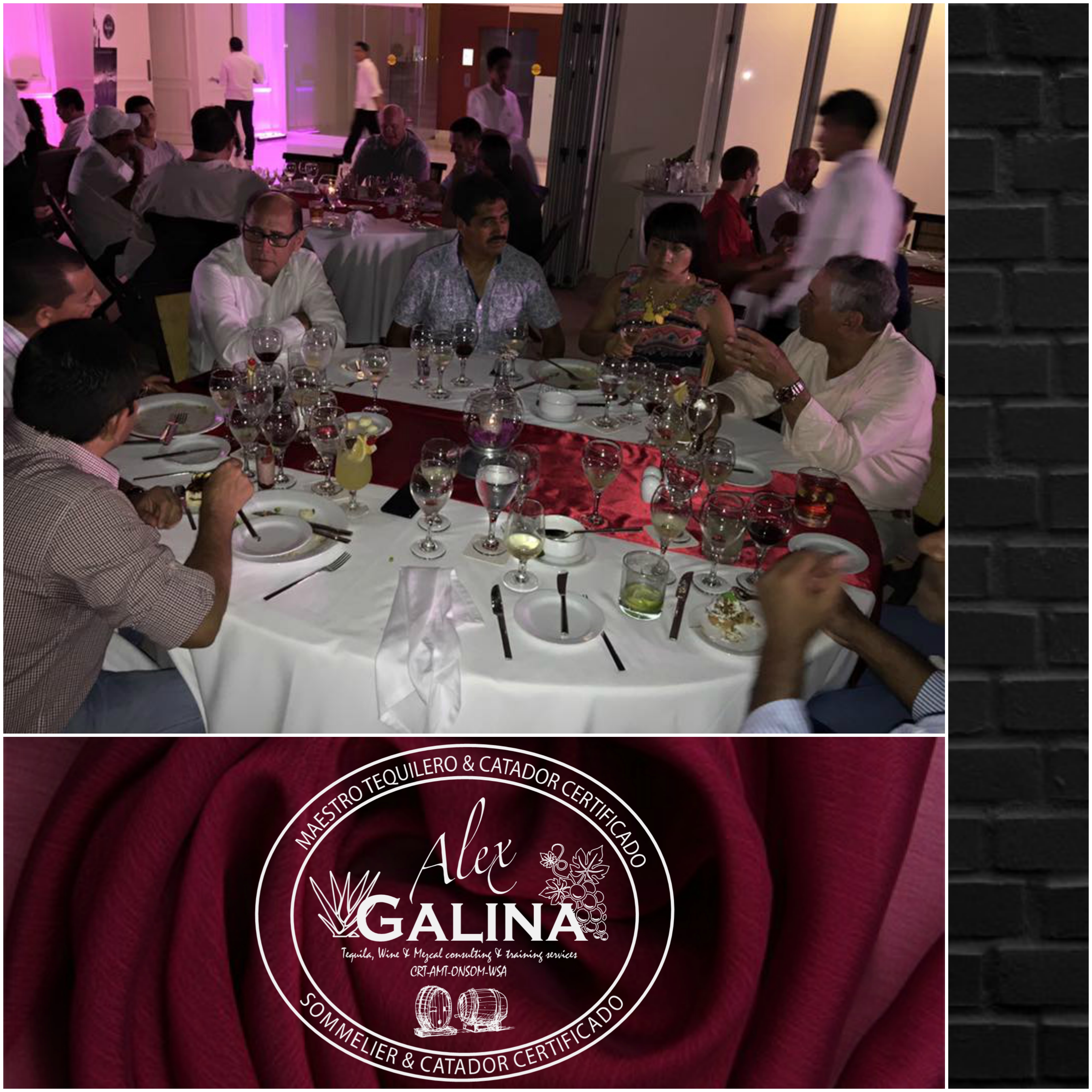 Cata de vinos San Miguel de Allende