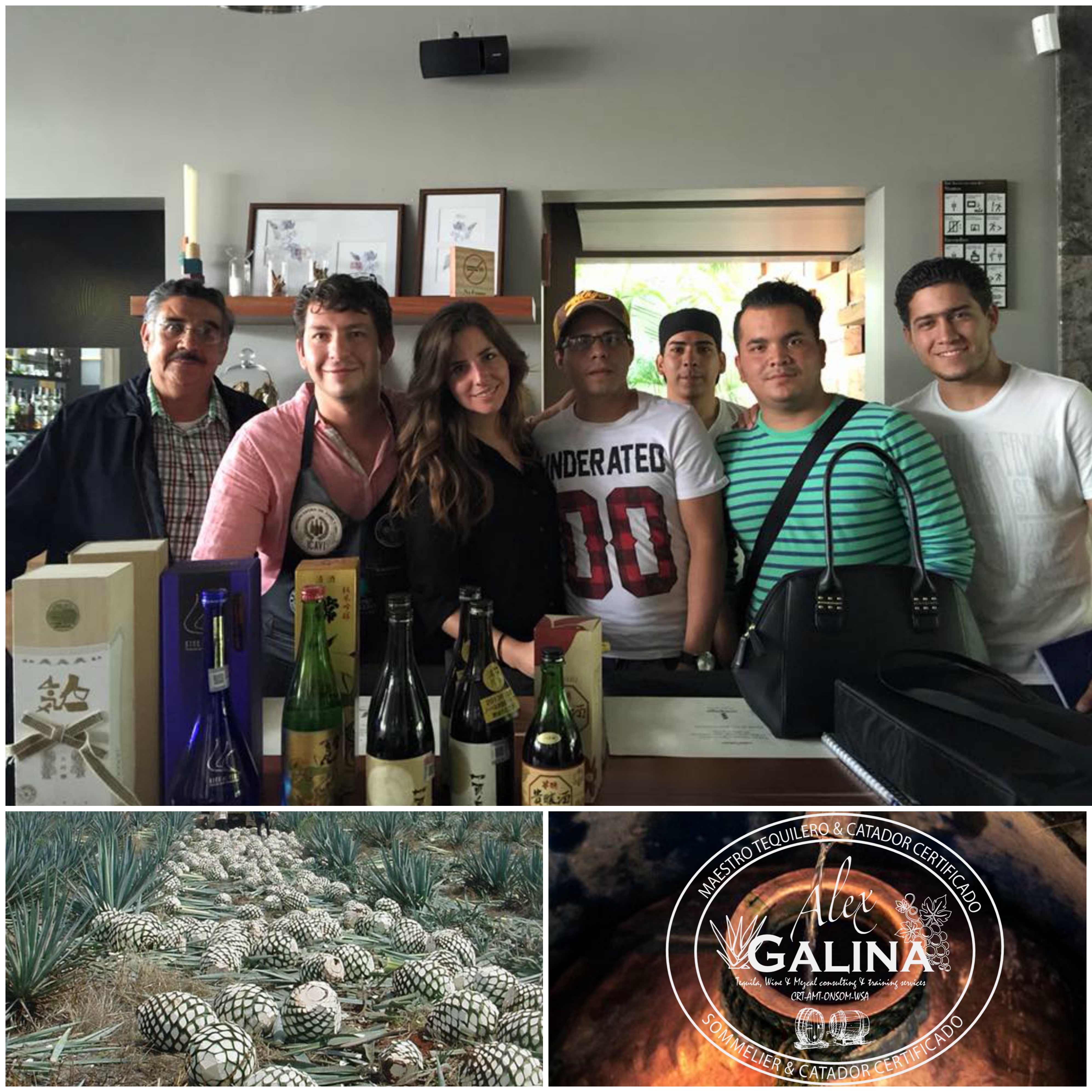 Cata de vinos San Miguel de Allende