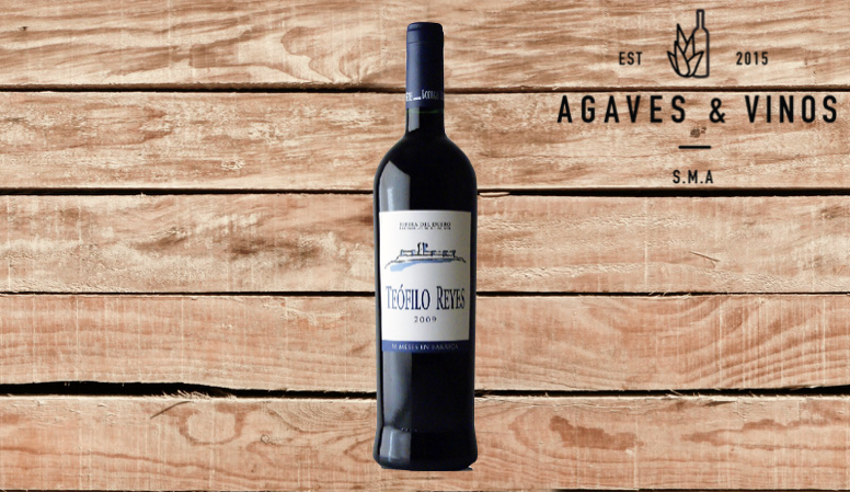 RIBERA DEL DUERO TEÓFILO R. CRIANZA