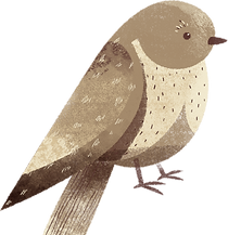 pájaro