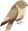 oiseau