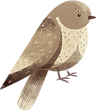 鳥