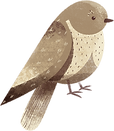 pájaro