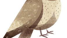 Searching for meaning: GEET