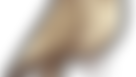 Searching for meaning: GEET