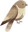 鳥