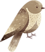 鳥
