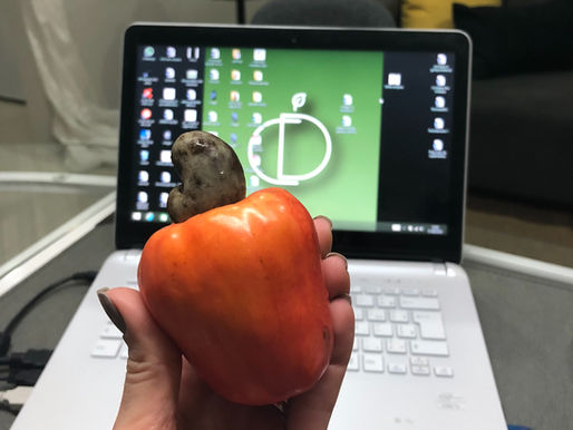 Você gosta de caju?!