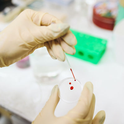 Don't Fake It ‘Til You Make It: A Lesson from The Theranos Disaster