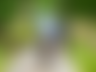 Best Electric Dirt Bike Rides in Western Wisconsin