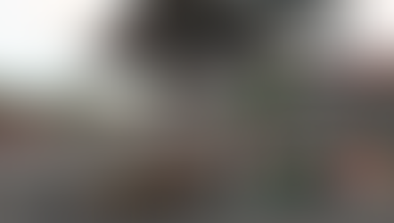 Formula One Preview: Hungarian Grand Prix