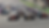 Credit: Formula One