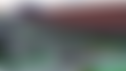 Formula One Preview: Dutch Grand Prix