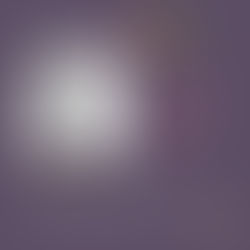 SA Parliament: Autism and Making Space