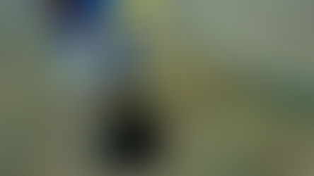 Benefits of Professional Drain Cleaning Companies in Bellevue WA Instead of DIY