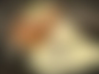 Chef Specials 22-29 January