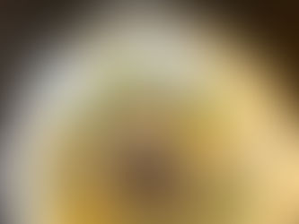 Menu Spotlight: Bluff Oysters