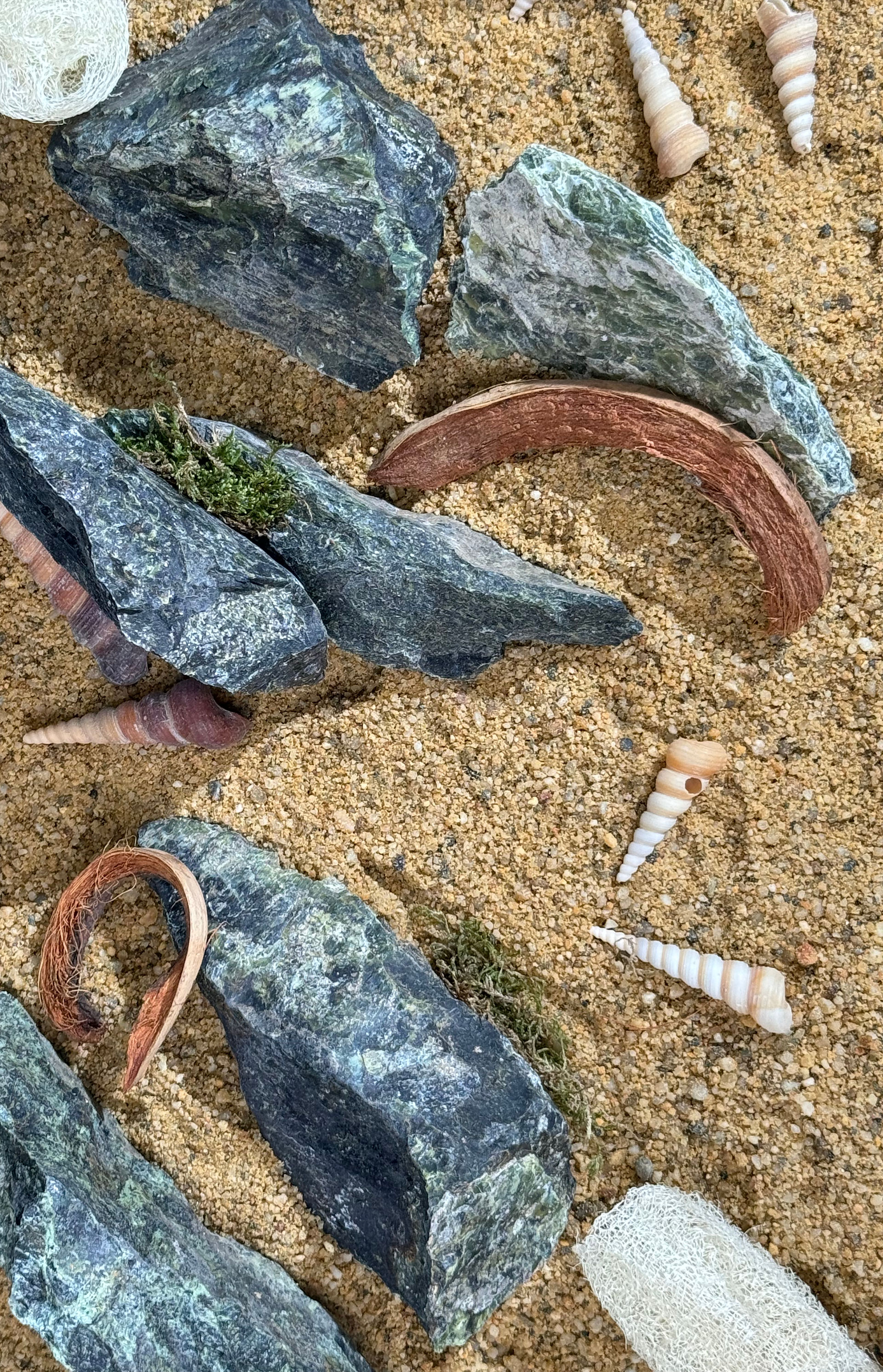 botanicals pods, leaves, and wood bites