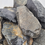 Thumbnail: Bumblebee Nano Rock Details
