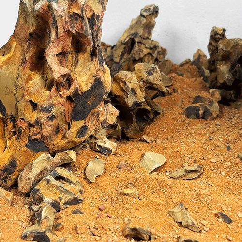 Amber Dragon River | WIO